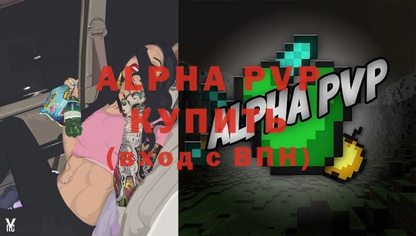 спиды Волосово
