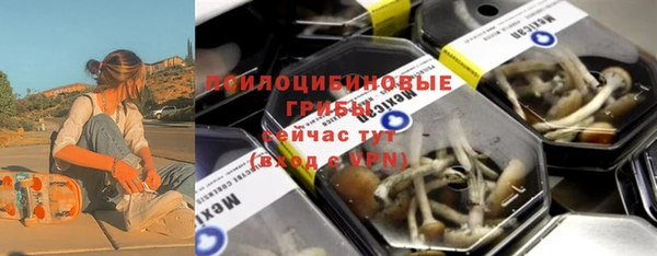 индика Бугульма